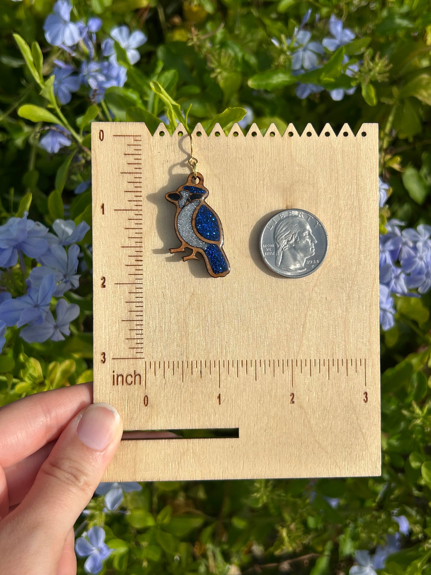 Blue Jay earrings
