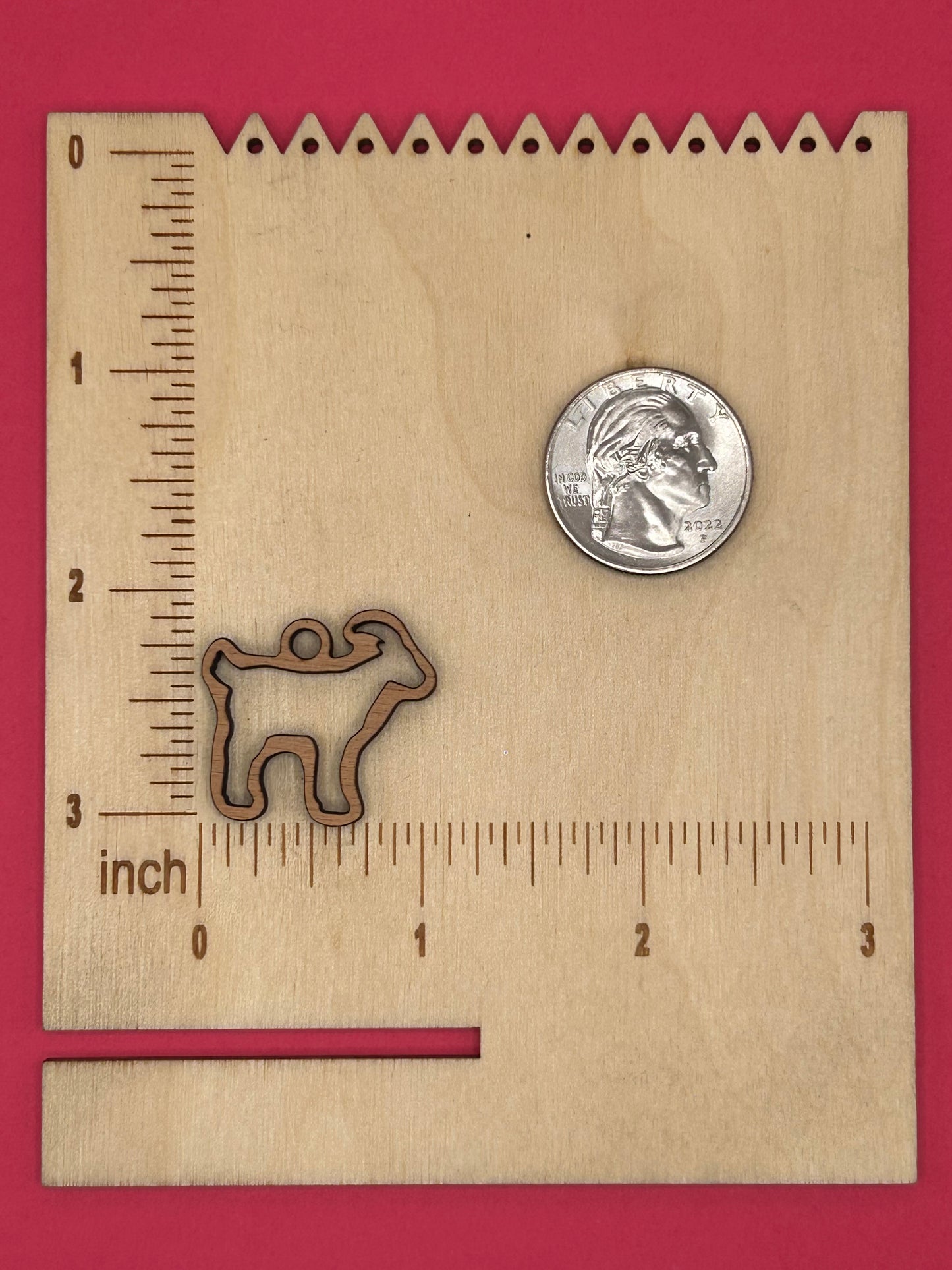 Blank goat wooden bezel