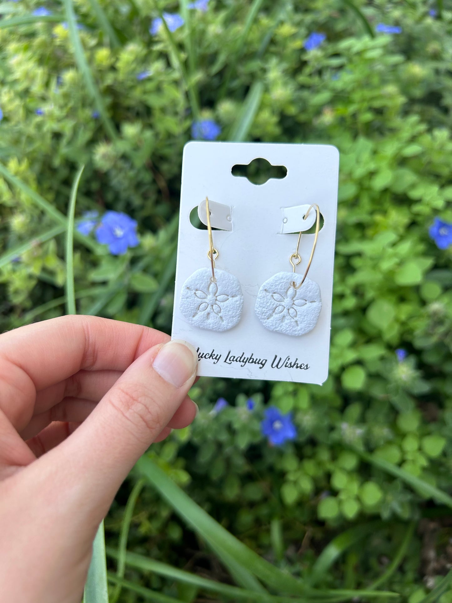 Sand-dollar earrings