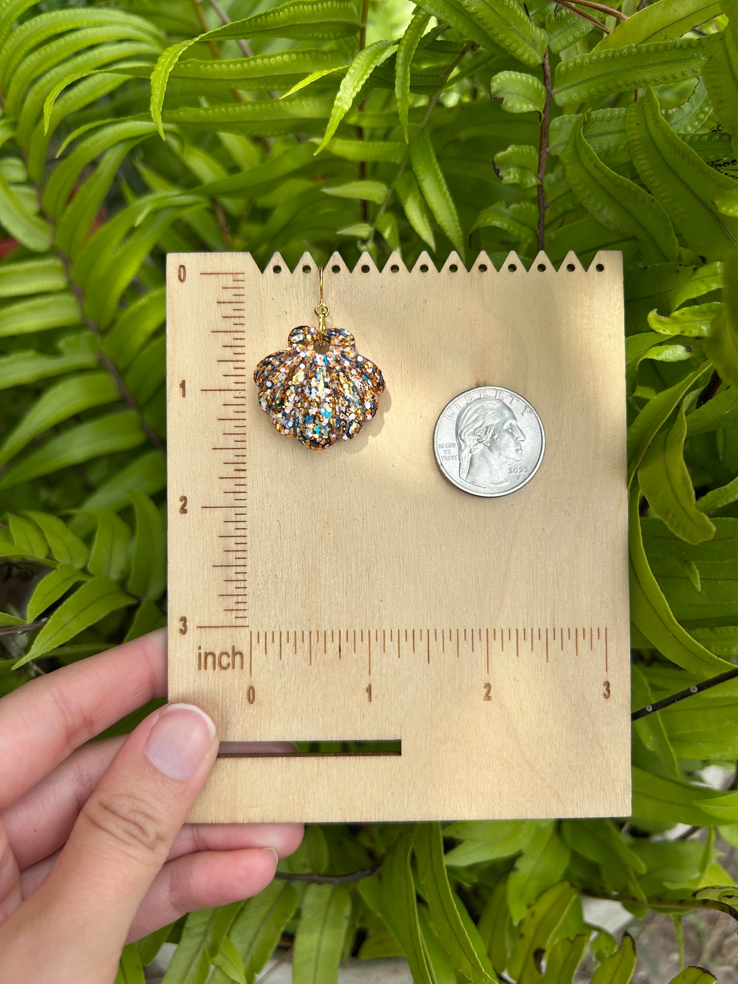Shell earrings