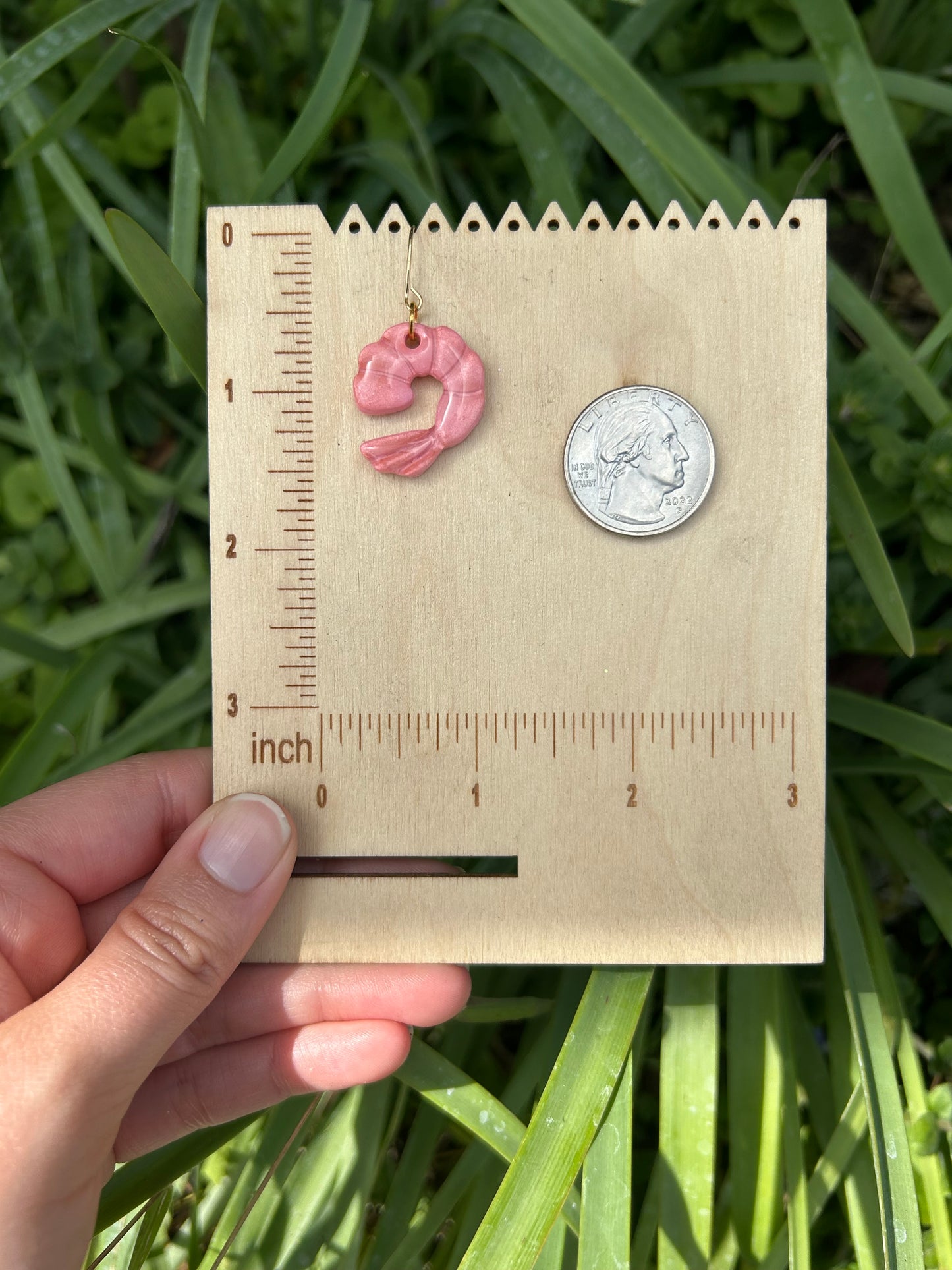 Shrimp earrings