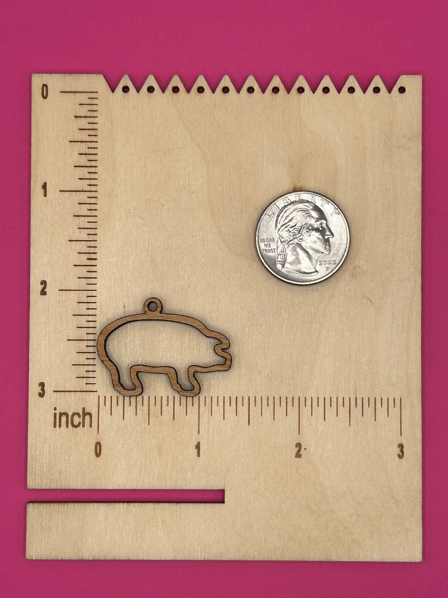 Blank pig wooden bezel