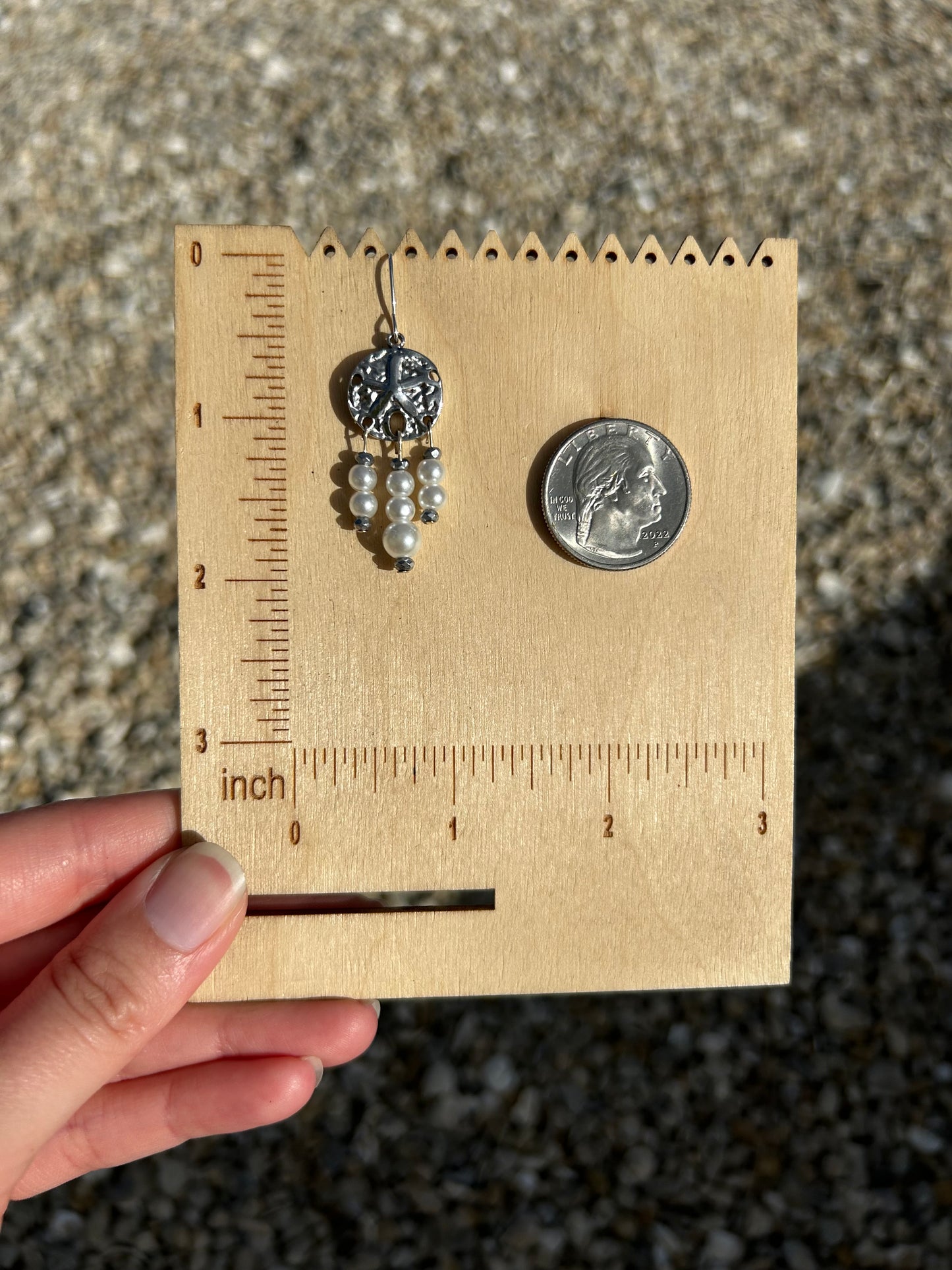Sand dollar charm earrings