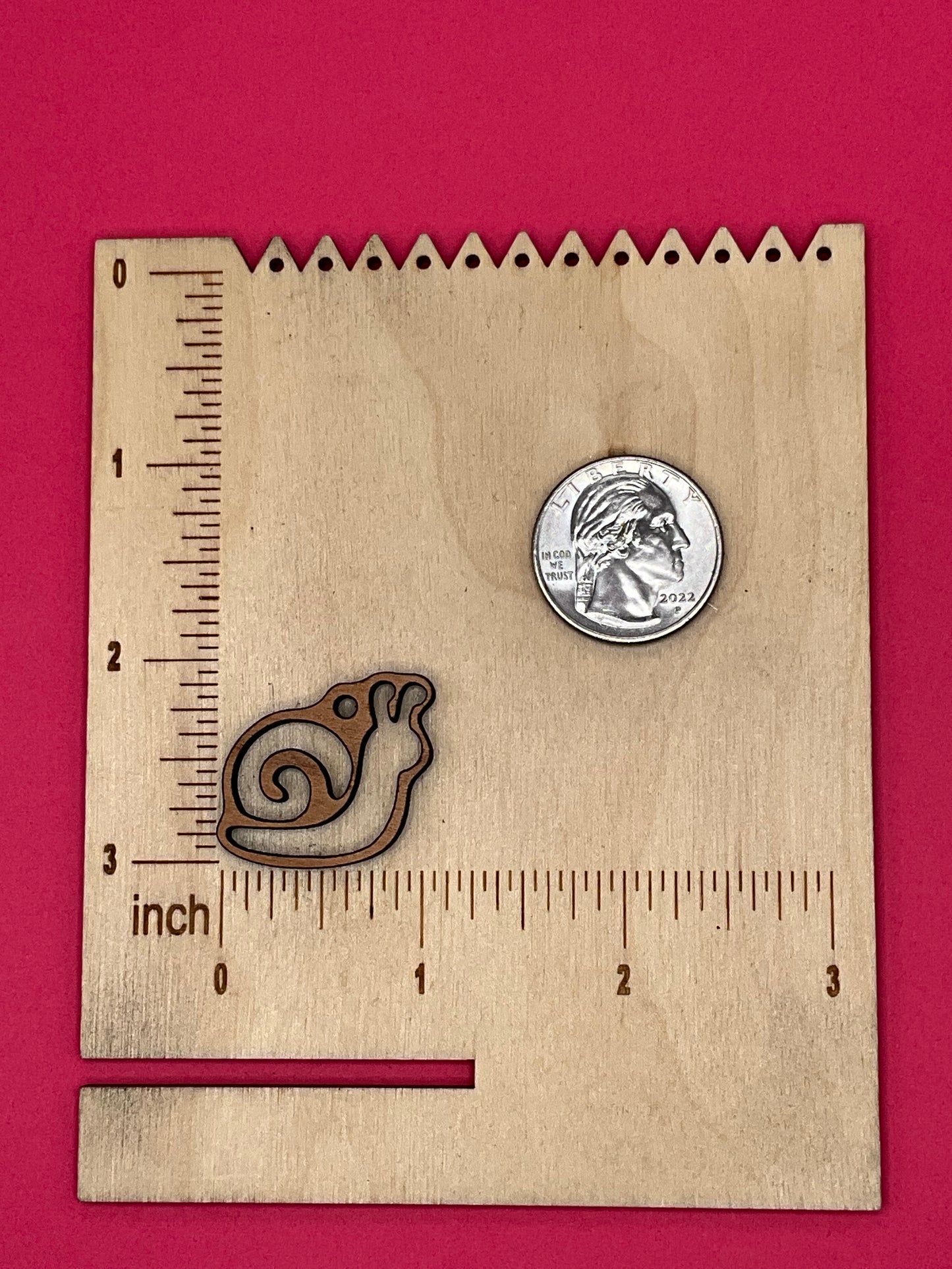 Blank Snail wooden bezels