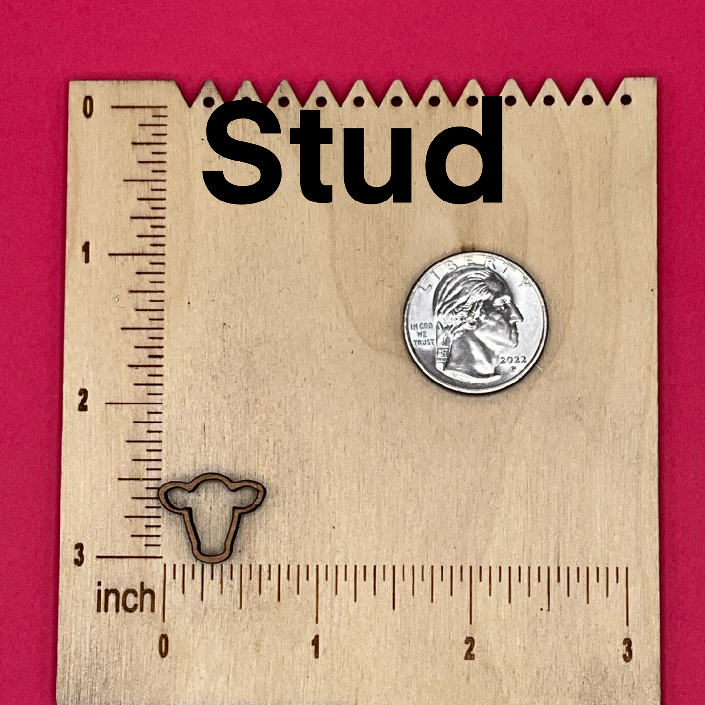 Blank Cow Head wooden bezel