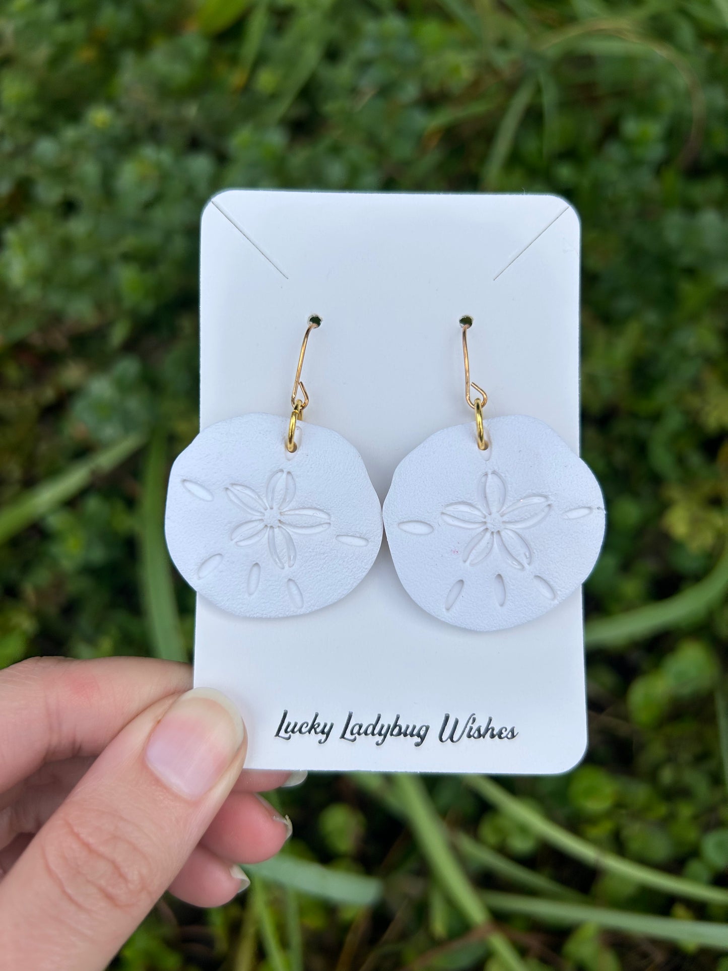 Sand-dollar earrings