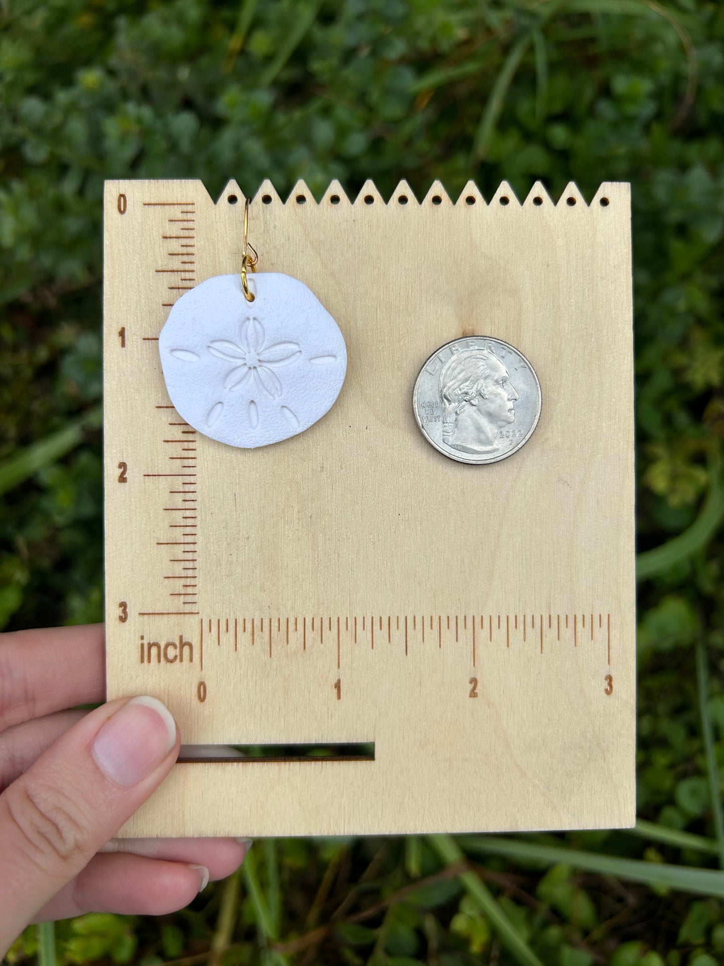 Sand-dollar earrings