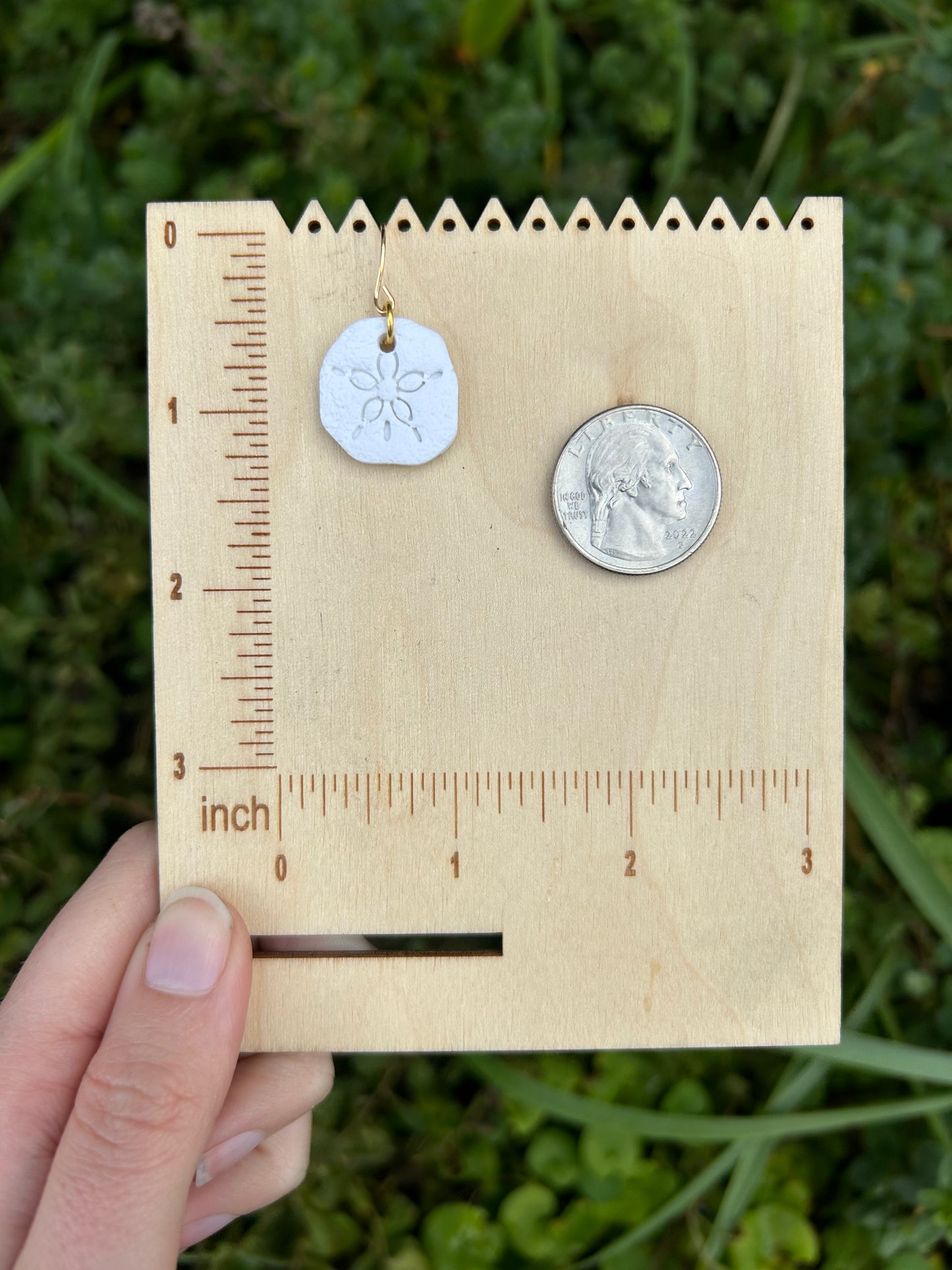 Sand-dollar earrings