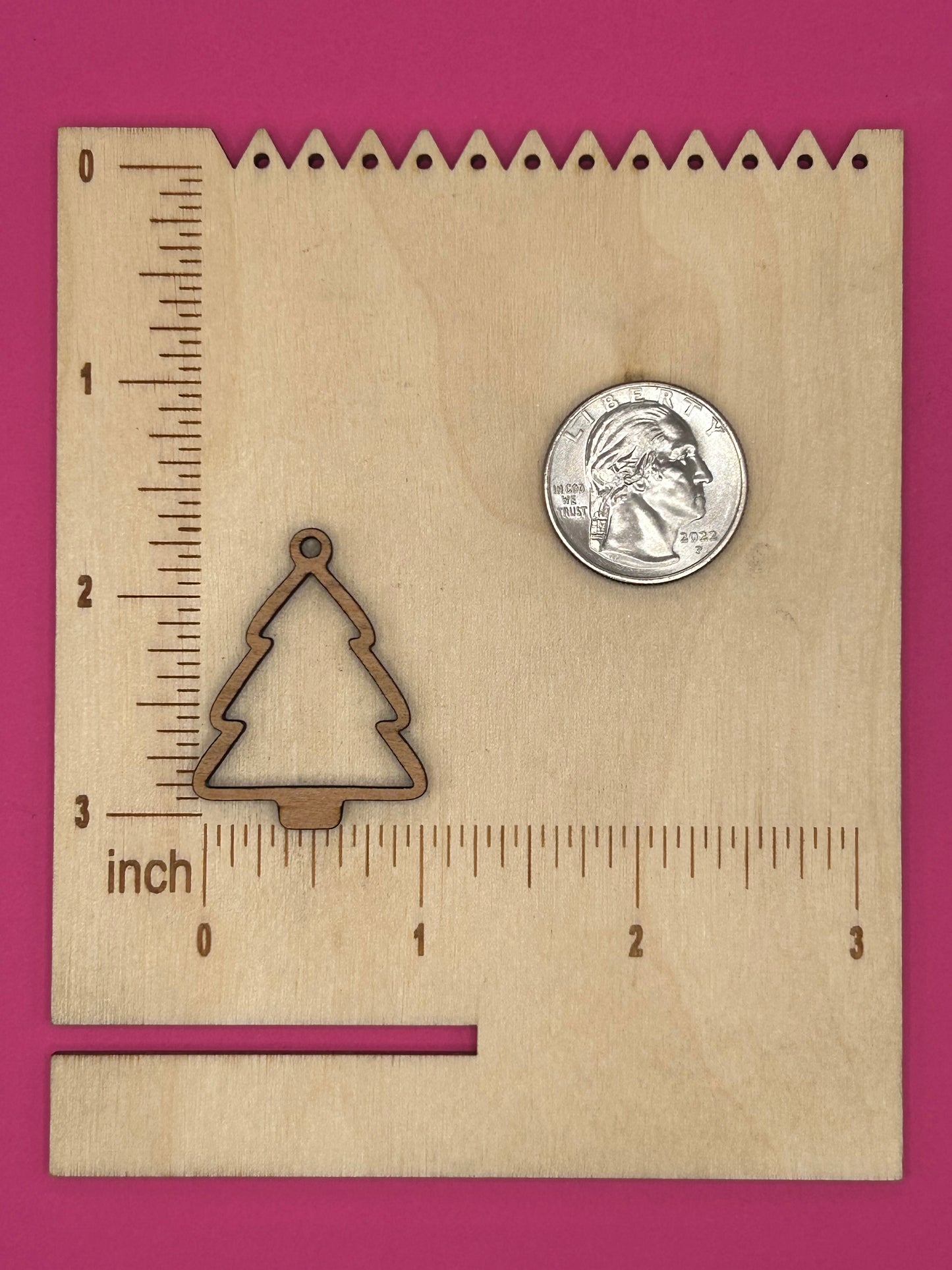 Blank tree wooden bezel