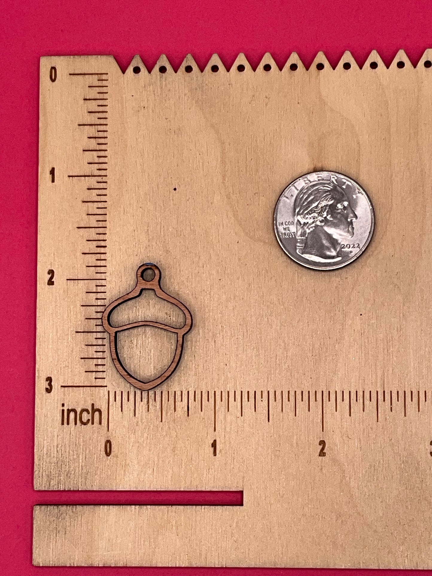 Blank Acorn wooden bezels
