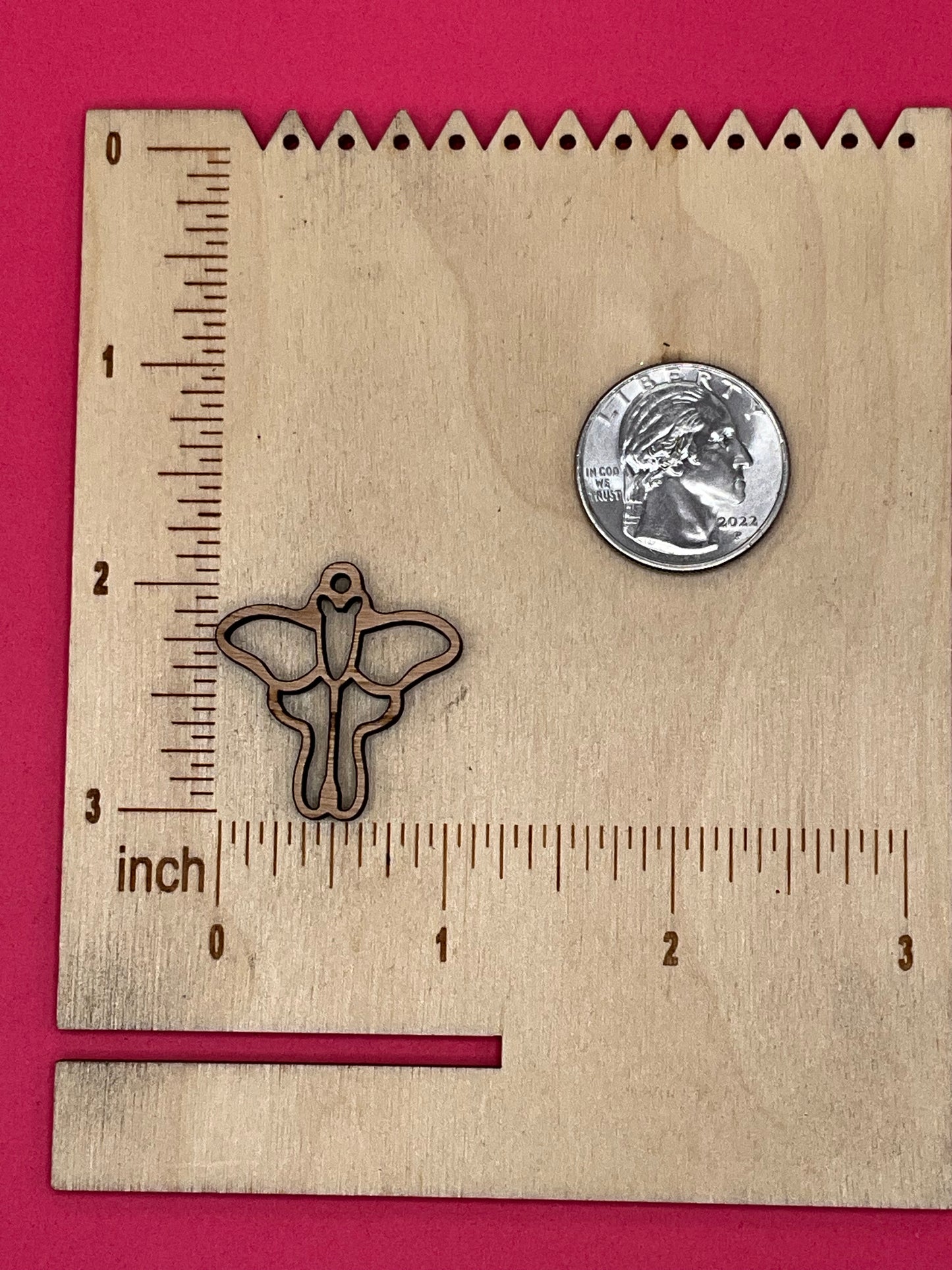 Blank Moth wooden bezels