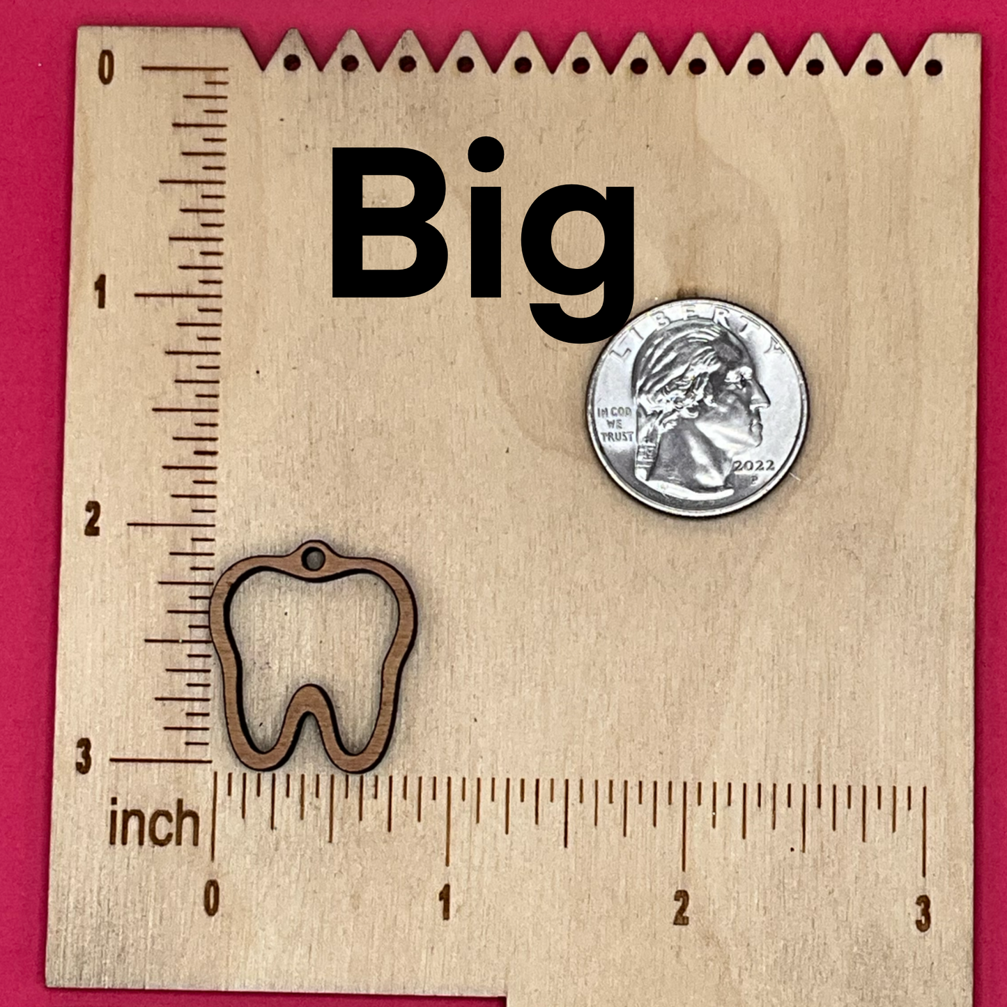 Blank Tooth wooden bezel