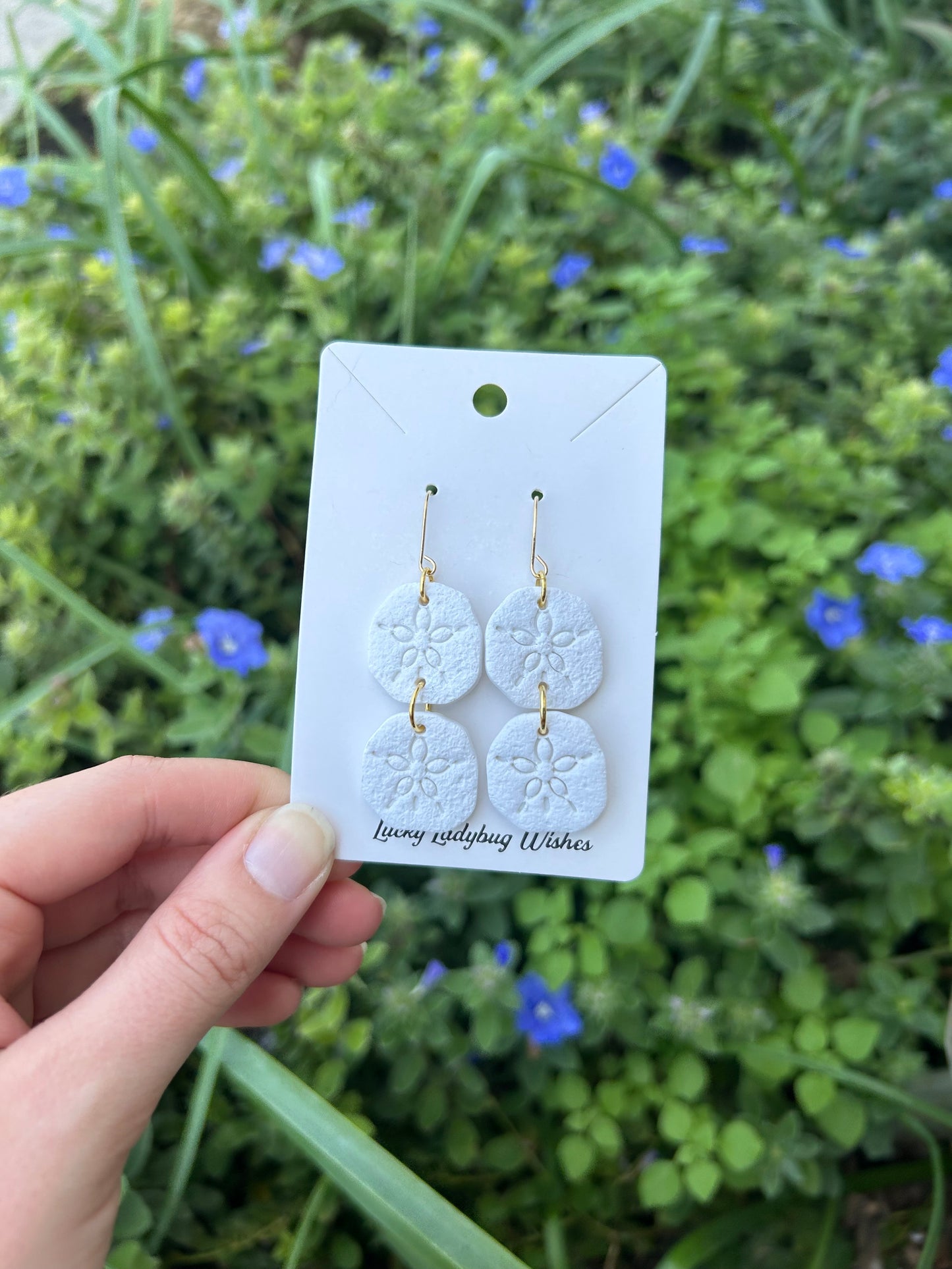 Sand-dollar earrings