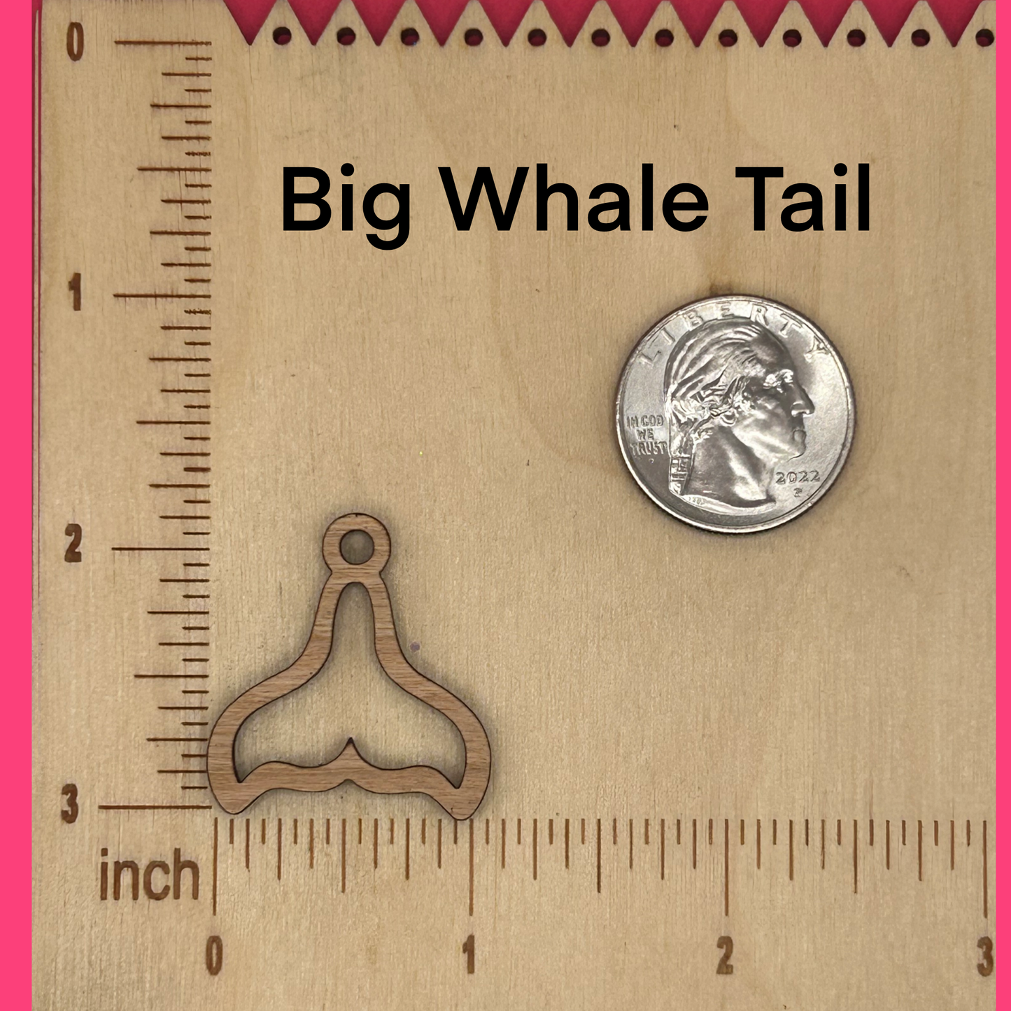 Blank Whale Tails wooden bezels