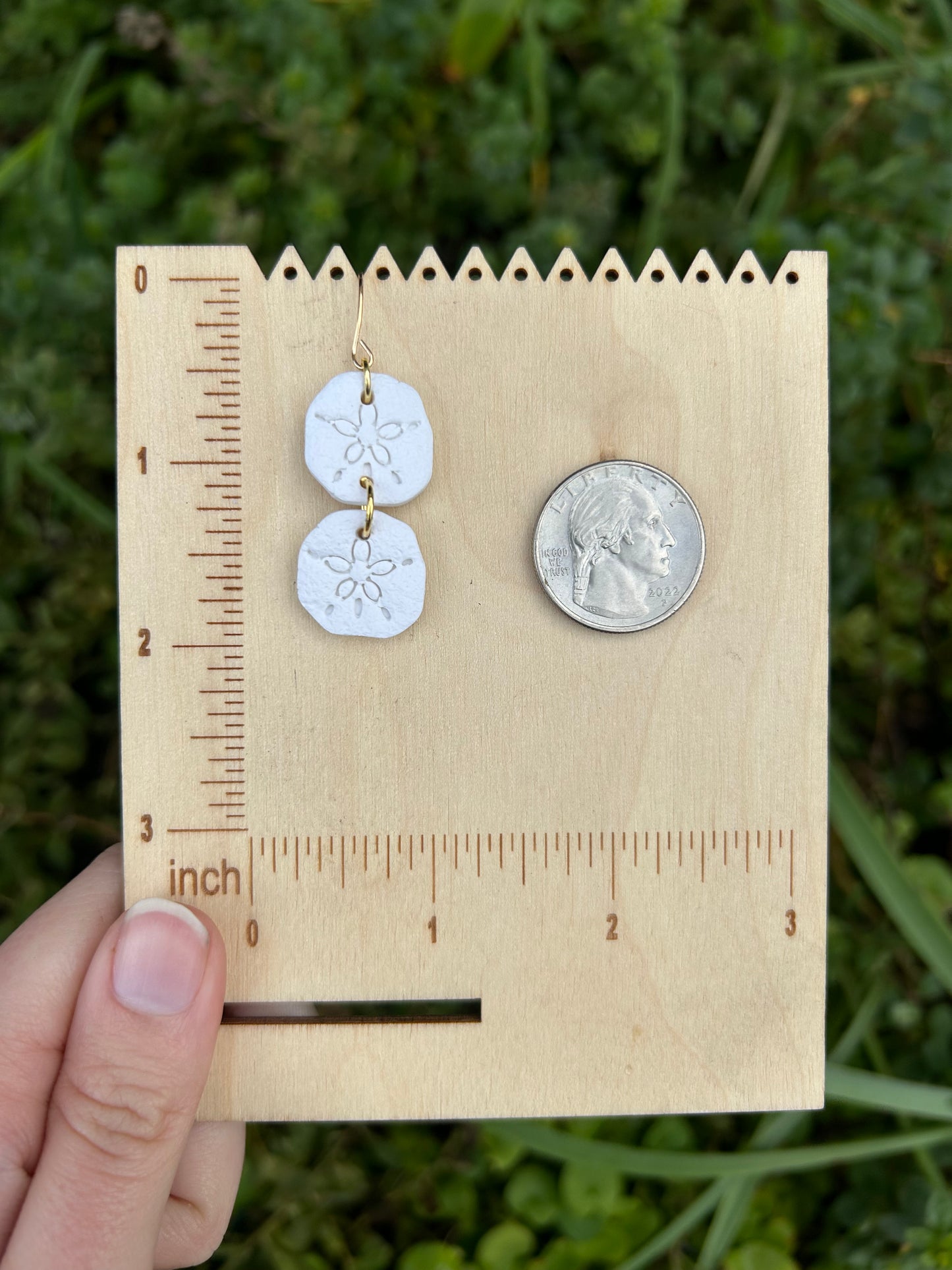 Sand-dollar earrings